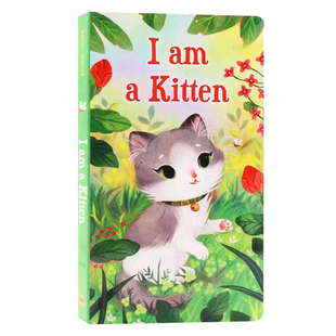 英文原版绘本I Am a Kitten 我是一只小猫  I am a bunny同系列名家 richard scarry 幼儿童早教纸板书 色彩丰富0-3岁启蒙英语阅读