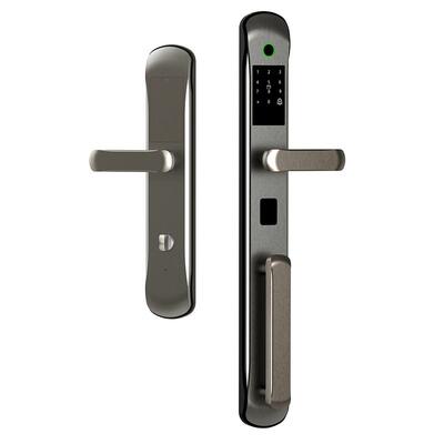 双开单开门不锈钢别墅大门智能锁