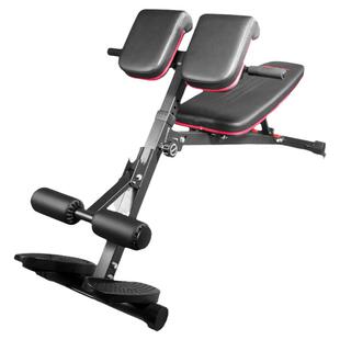 RIDO/力动TD35罗马椅山羊挺身器多功能哑铃凳家用室内腹肌训练器