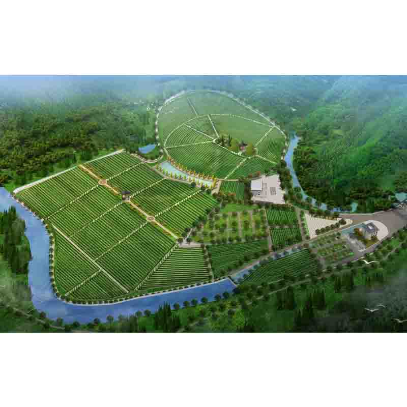 画园林景观建筑绿化庭院室外公园平面鸟瞰效果图规划方案设计制作