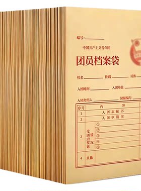 加厚牛皮纸入团档案袋