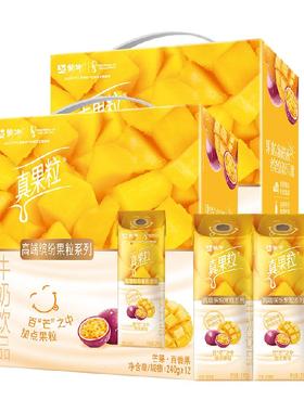 蒙牛真果粒芒果百香果口味牛奶饮品240g*12包*2箱