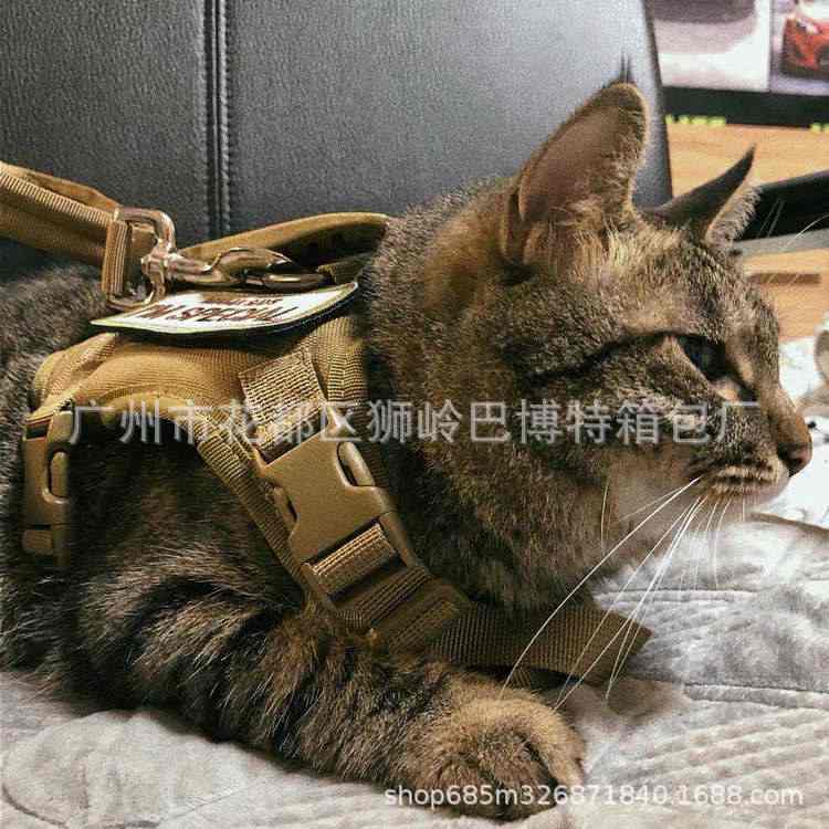 宠物魔术贴胸背带背心猫咪背带小狗衣服宠物用品胸透气式牵引绳