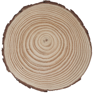 复古ins风原木防烫垫子民宿碗垫道具圆形实木隔热垫餐桌垫水杯垫