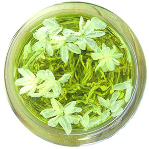 2022年新茶四川茶叶 浓香型 仙木飘雪类 逸香茉莉花茶叶500克包邮