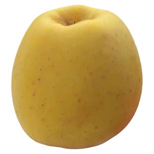新鲜山东维纳斯黄金苹果脆甜无酸当季水果非奶油富士金帅黄元帅
