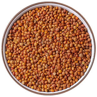 楮实子中药材官方旗舰店正品 野生新货构树果实蓍实苦褚树籽