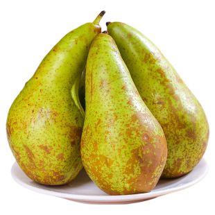 新货正宗比利时进口青啤梨荷兰啤梨当季新鲜水果宝宝辅食啤酒梨