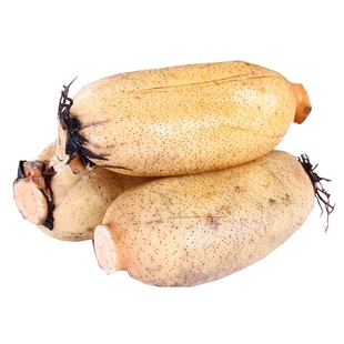 莲藕新鲜洪泽湖特产嫩藕脆藕生吃炒藕非藕带凉拌自家种植现挖现发