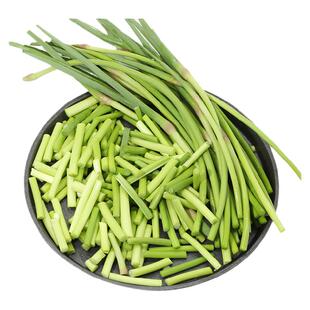 鲜嫩的蒜毫 蒜薹 蒜苔 农家肥种植 新鲜蔬菜 嫩极了 孕妇食用400g