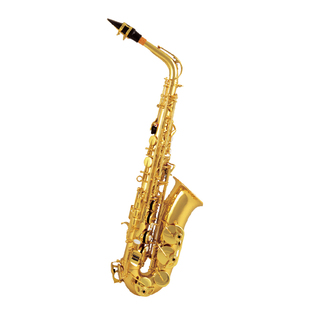 津宝萨克斯AS200管乐器初学者降e调中音萨克斯风入门专业演奏考级