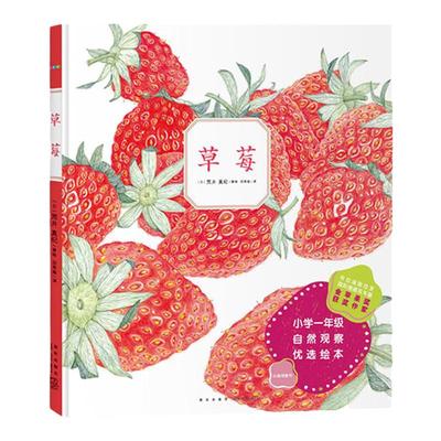 精装硬壳草莓植物观察绘本