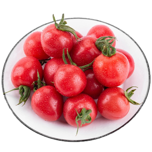 新鲜圣女果现摘小番茄酸甜生吃水果当季5柿子千禧蔬菜自然熟蔬菜