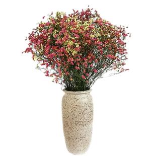 云南真花勿忘我满天星水晶草风干干花花束家居摆设论斤卖装饰摆件