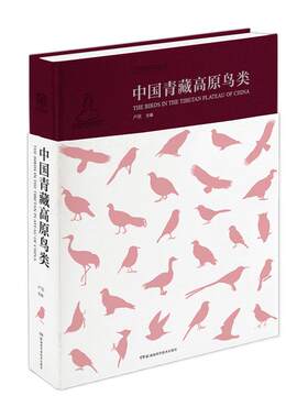 官方直营中国青藏高原鸟类
