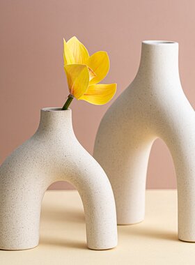 异形素烧陶瓷花瓶欧式简约水培插花摆件客厅装饰工艺品批发极简