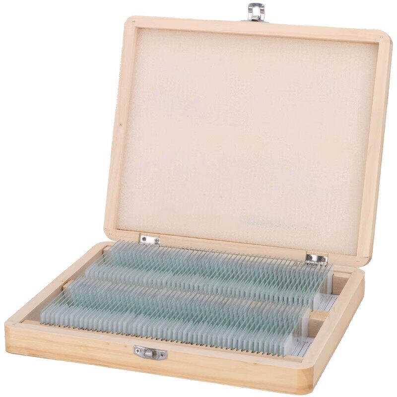 100片生物切片（皖南牌）显微镜标本实验玻片装片细胞载玻片包邮