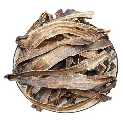 中药材地龙干全开泥沙蚯蚓