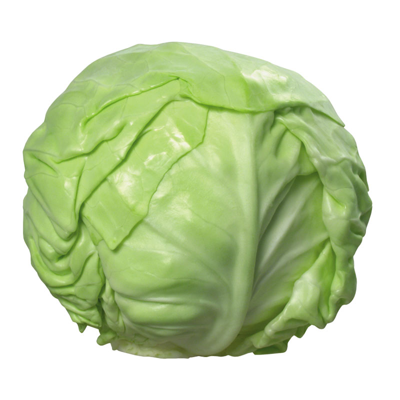 水果甘蓝种子卷心菜种籽包菜籽农家种大全蔬菜种孑夏秋季早熟禾之
