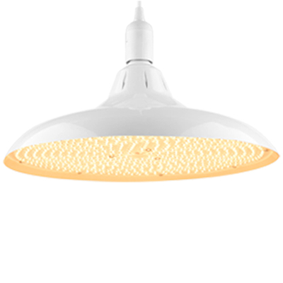 特大版LED生鲜灯猪肉冷鲜吊灯