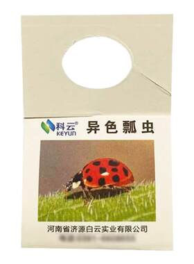 异色瓢虫卵卡活体瓢虫防治蚜虫昆虫天敌有机园林园艺昆虫生物防治