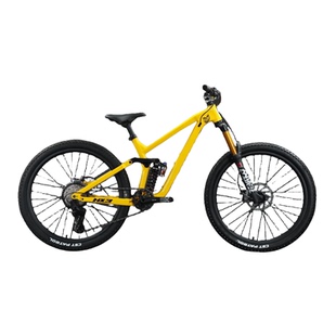 哈曼兄弟土坡车软尾气叉版油刹青少年动作车新款减震防摔