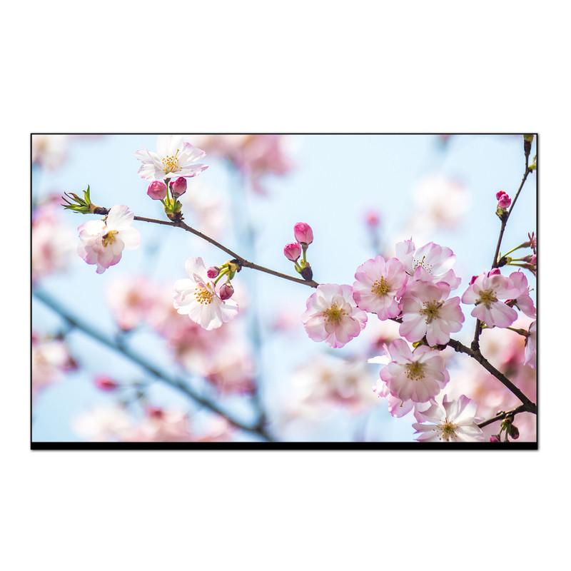 适配联想小新16pro 2.5K高清屏 2023款 2024款 2025款 液晶显示屏