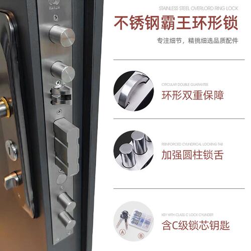 小区甲级防盗门家用进户门铸铝入户大门智能门锁子母门轻奢单开门