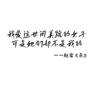赵雷朵歌词车贴 我爱这世间美貌的女子个性防水雷子歌迷装饰贴纸