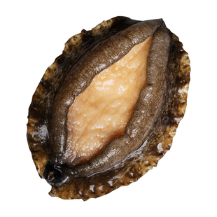 鲍鱼肉鲜活冷冻新鲜特大去壳冰鲜速冻小鲍鱼海鲜水产官方旗舰商用