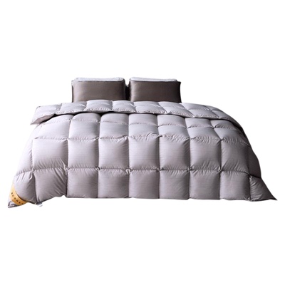 鸿润新款石墨烯95%白鹅绒被