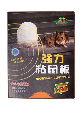 老鼠贴强力粘鼠板加厚加大