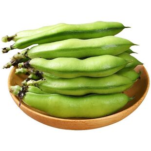新鲜蚕豆云南高山农家带壳生本地罗汉兰花胡豆青豆荚蔬菜5斤整箱