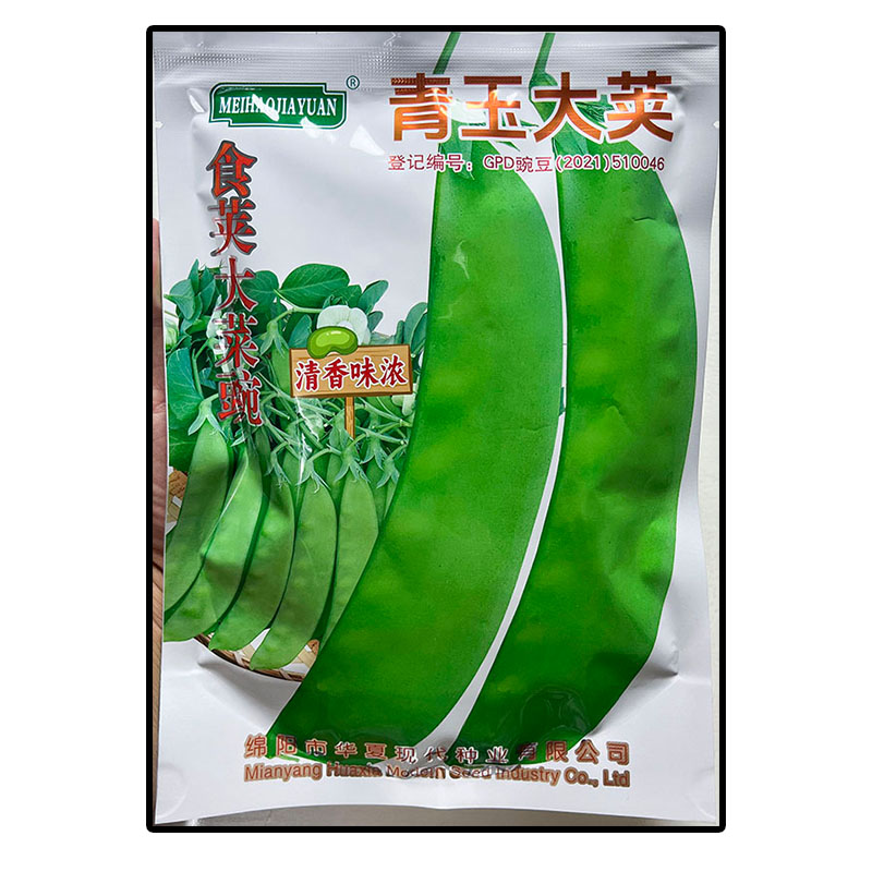 青玉大荚高产豌豆荚荷兰豆蔬菜种