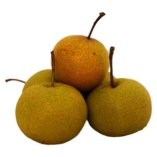 天津蓟县山区农家新鲜蓟州酸梨细皮小酸梨安梨2025年老酸梨包邮