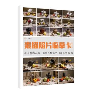 素描照片临摹卡组合静物基础提升篇 临摹范本组合画册集静物道具结构解析照片写生创意卡片校联考高考绘画示范 美术素描临摹卡32开