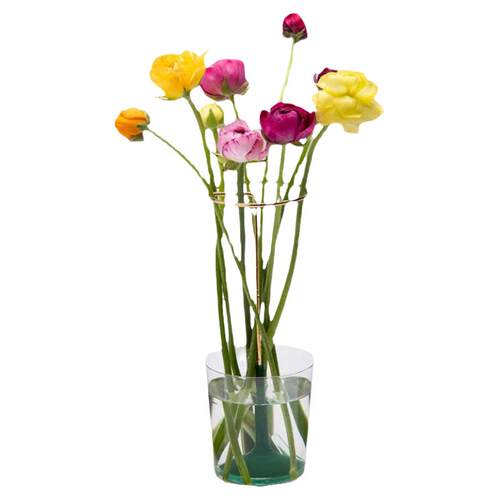 Peleg Design魔法花托花瓶 Invisivase创意简约小花器花架