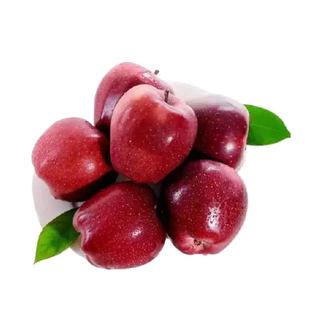 甘肃花牛苹果新鲜水果孕妇宝宝辅食粉面果