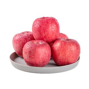 【顺丰】陕西延安洛川苹果红富士苹果新鲜当季脆甜水果12枚一级果
