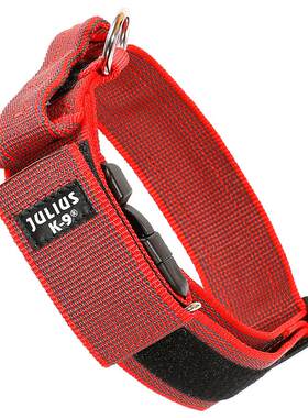 JuliusK9小中泰迪拉手进口项圈