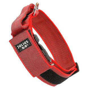 Julius K9项圈小中大型犬脖套猫咪泰迪拉手狗项圈进口宠物狗用品