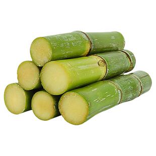 甘蔗种籽种子苗孑青皮甜高粱北方南方四季甜杆种植水果高粱杆籽种