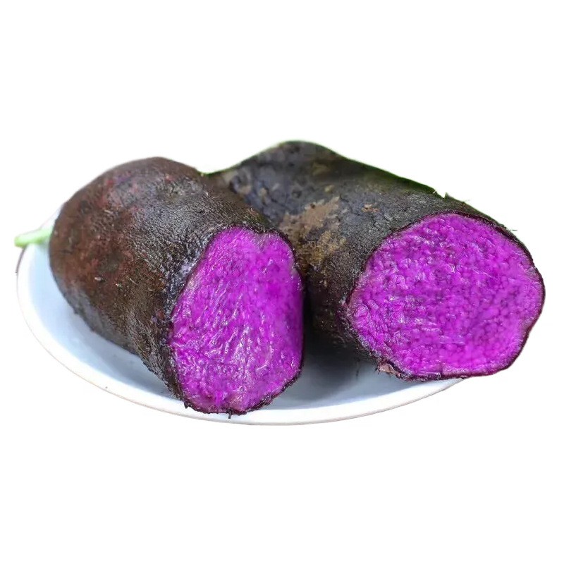 正宗赣南新鲜紫山药5斤新鲜现挖