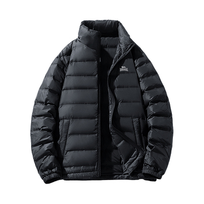 龙狮戴尔700蓬立领羽绒服内胆