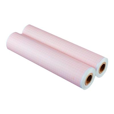 心电图纸210十二导210x30x20216