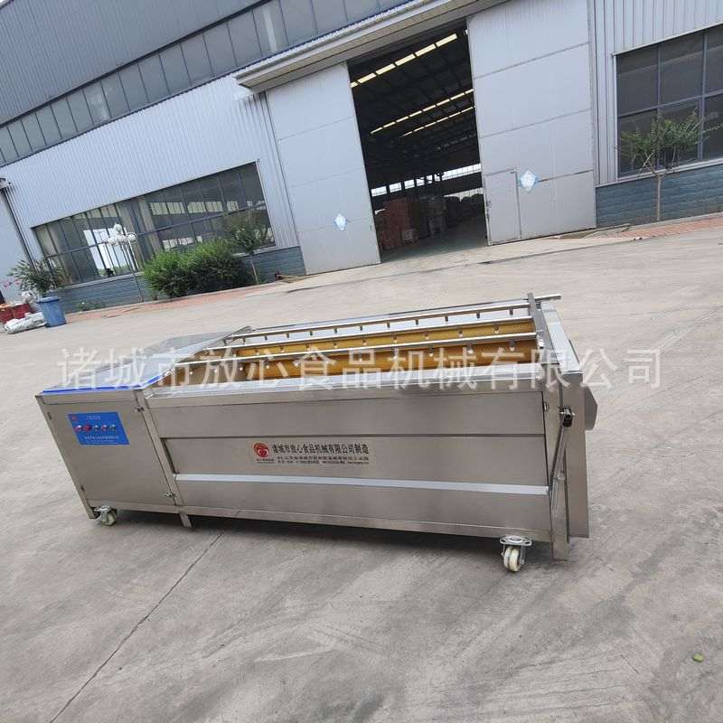 土豆毛辊去皮清洗机 猪蹄海蛎子毛辊清洗机 大姜红薯清洗机