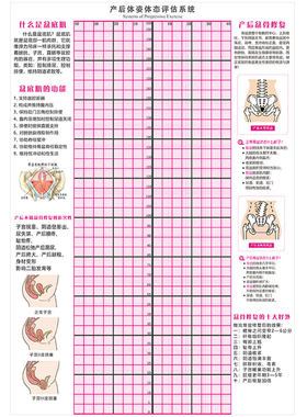 产后体态评估表形体姿势体测墙纸