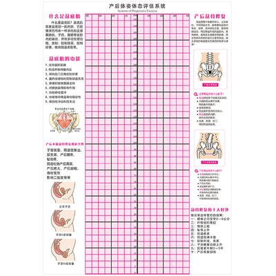 产后体态评估表形体姿势体测墙纸