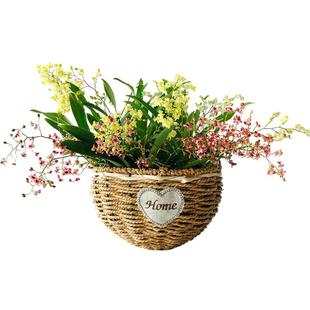 花彩文心兰花苗盆栽阳台梦香兰有香味室内桌面花量大多年生石斛兰