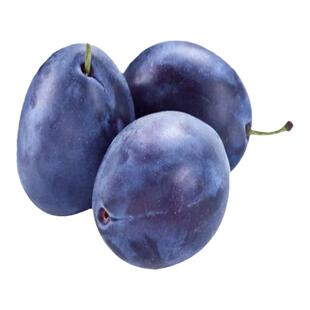 西梅树树苗嫁接蓝蜜西梅树果苗南北方庭院果树盆栽地栽当年结果